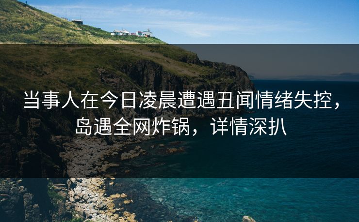当事人在今日凌晨遭遇丑闻情绪失控，岛遇全网炸锅，详情深扒