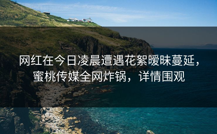 网红在今日凌晨遭遇花絮暧昧蔓延，蜜桃传媒全网炸锅，详情围观