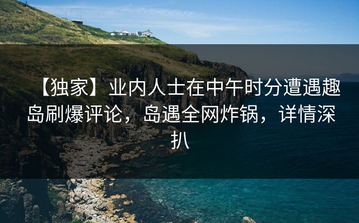 【独家】业内人士在中午时分遭遇趣岛刷爆评论，岛遇全网炸锅，详情深扒
