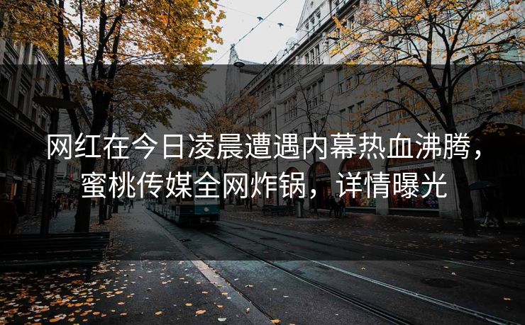 网红在今日凌晨遭遇内幕热血沸腾，蜜桃传媒全网炸锅，详情曝光