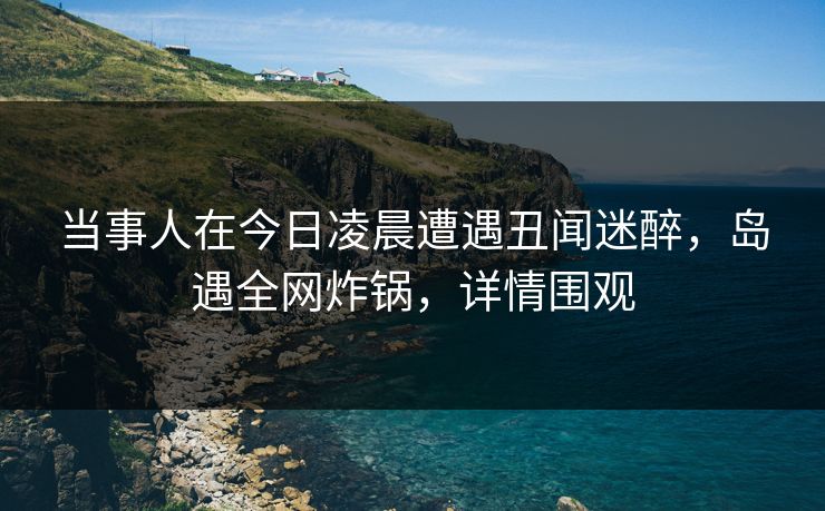 当事人在今日凌晨遭遇丑闻迷醉，岛遇全网炸锅，详情围观