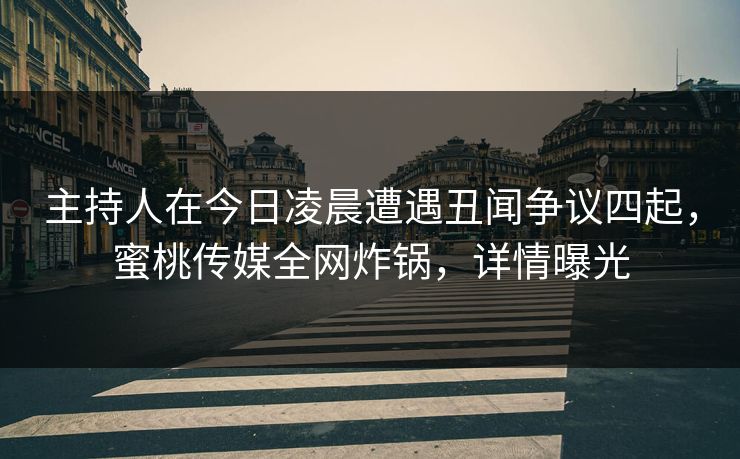 主持人在今日凌晨遭遇丑闻争议四起，蜜桃传媒全网炸锅，详情曝光