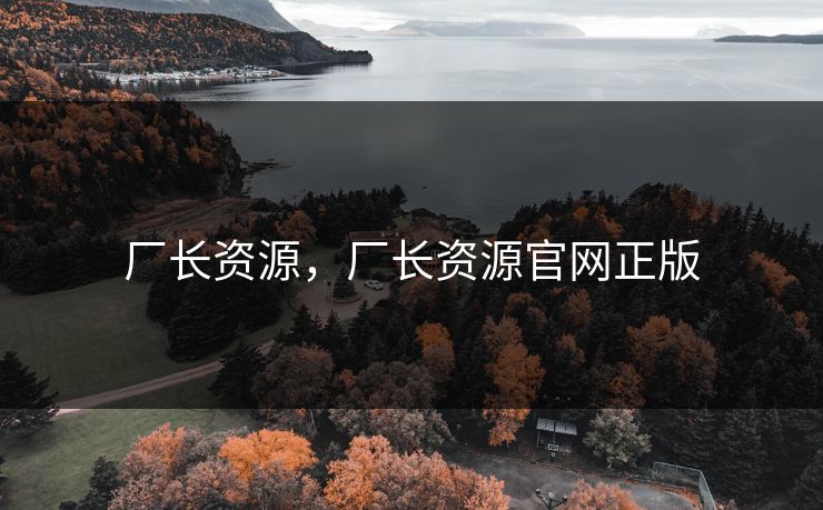 厂长资源，厂长资源官网正版