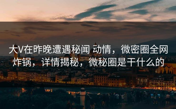 大V在昨晚遭遇秘闻 动情，微密圈全网炸锅，详情揭秘，微秘圈是干什么的