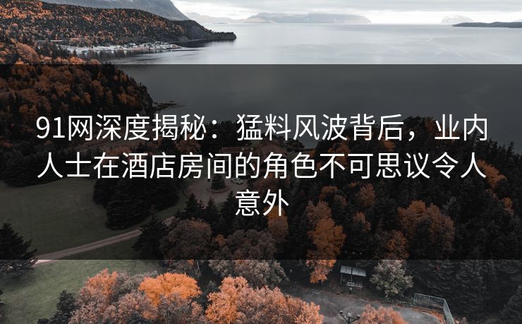 91网深度揭秘：猛料风波背后，业内人士在酒店房间的角色不可思议令人意外